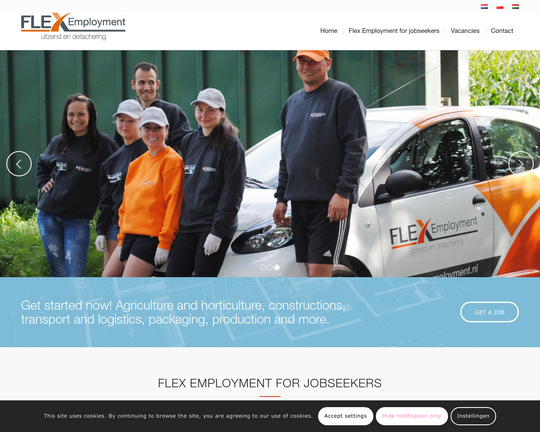 Flex Employment Logo
